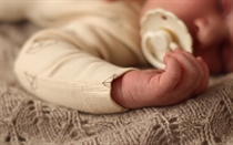 BIRKHOLM Rib Body Papirsbåde